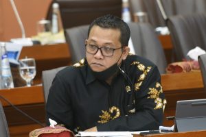 Anggota Komisi VI DPR RI Sonny T Danaparamita